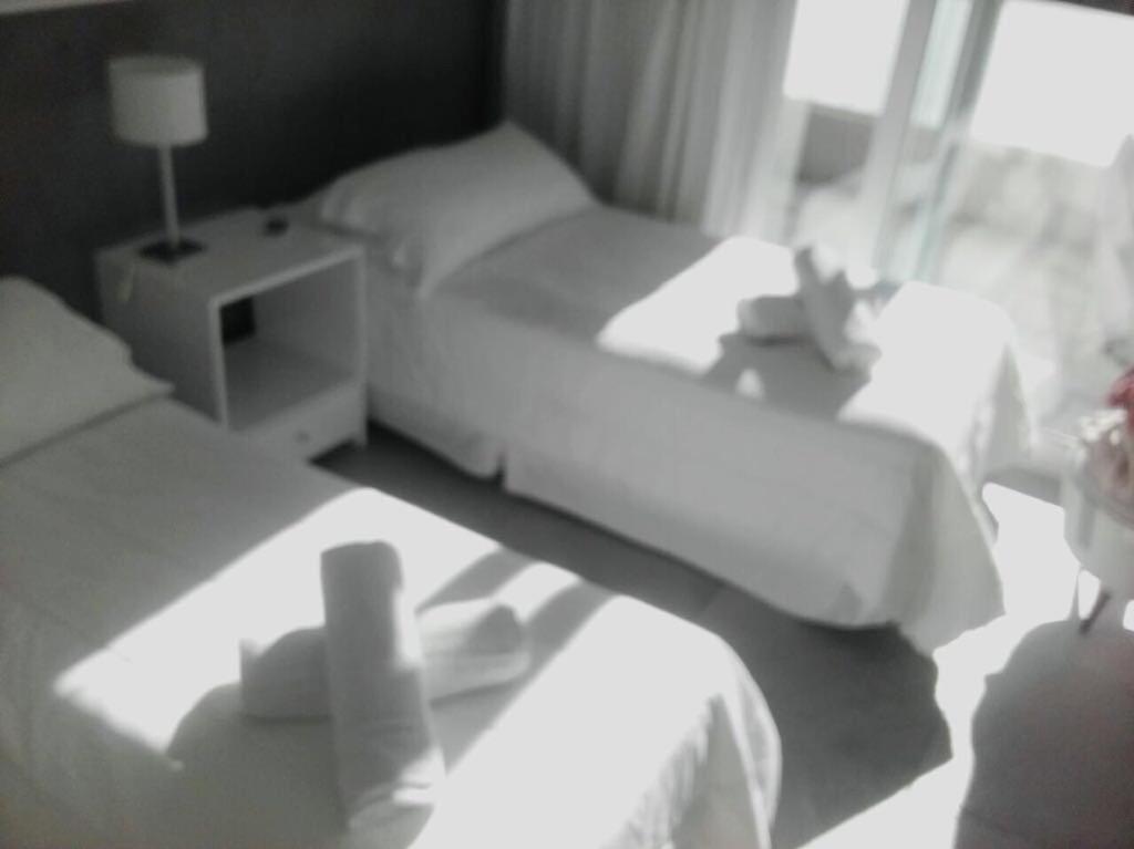 Duplex De Lujo * Carilo